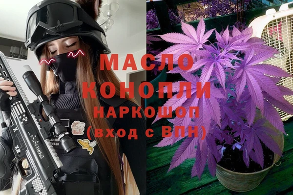 дмт Алексин