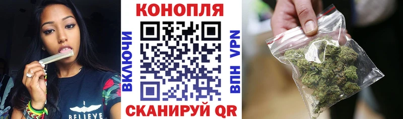 Бошки Шишки ГИДРОПОН  где продают   Козловка 
